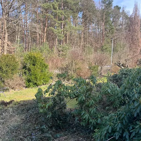 Franziska's - In Ruhiger Lage Direkt Am Wald Apartamento