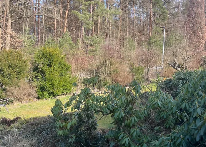 Franziska's - In Ruhiger Lage Direkt Am Wald Apartament